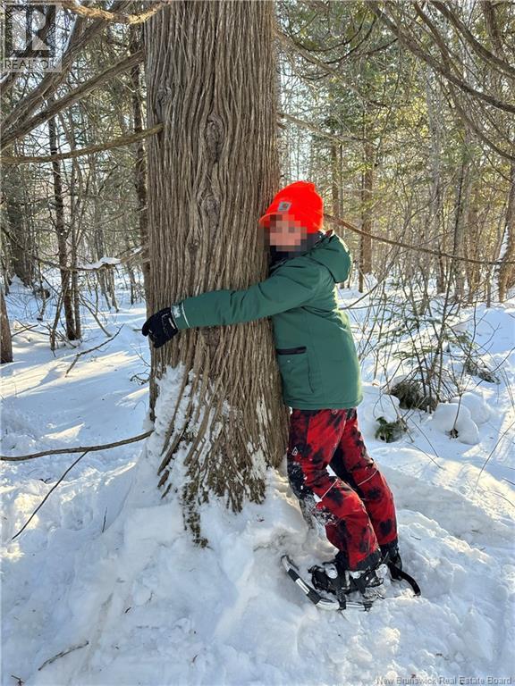 90 Acres Cormier Village Road, Saint-Paul, New Brunswick  E4T 3H3 - Photo 5 - NB127554