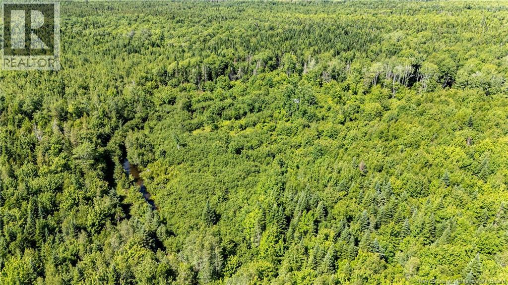 90 Acres Cormier Village Road, Saint-Paul, New Brunswick  E4T 3H3 - Photo 50 - NB127554