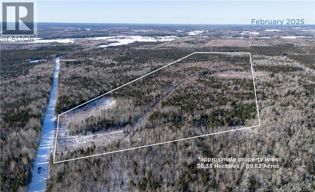 90 Acres Cormier Village Road, Saint-Paul, New Brunswick  E4T 3H3 - Photo 6 - NB127554
