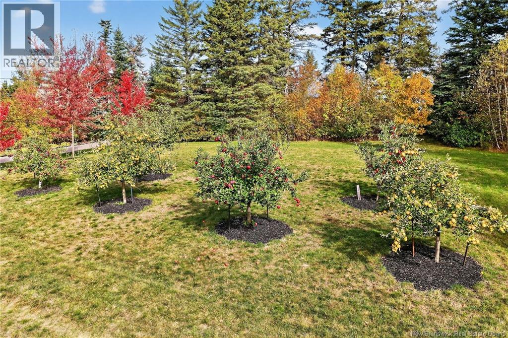 30 Cartwright Lane, Lutes Mountain, New Brunswick  E1G 0N4 - Photo 49 - NB127539