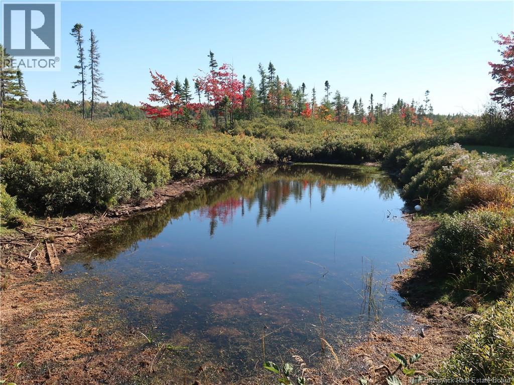 1371 Route 16 Route, Jolicure, New Brunswick E4L 2P9 - Photo 19 - NB127524