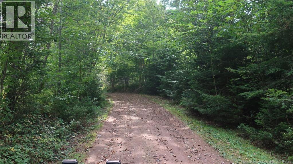 1371 Route 16 Route, Jolicure, New Brunswick E4L 2P9 - Photo 3 - NB127524