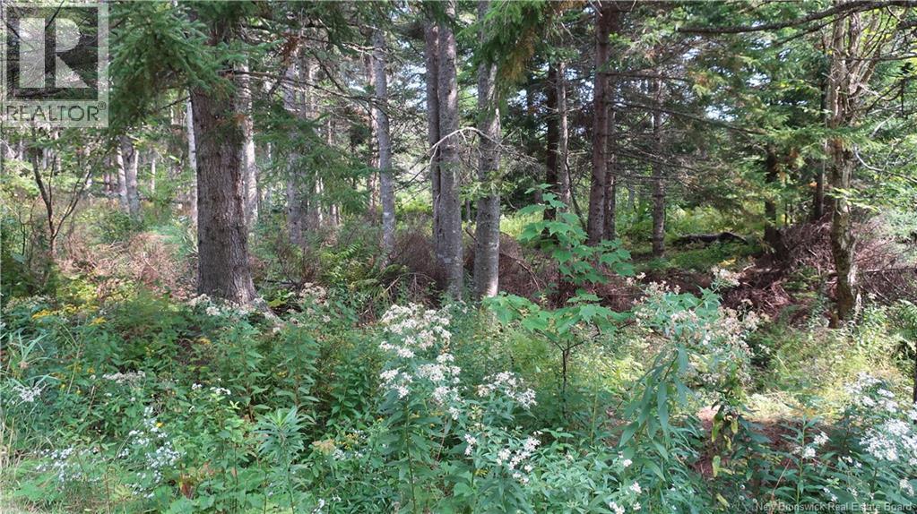 1371 Route 16 Route, Jolicure, New Brunswick E4L 2P9 - Photo 5 - NB127524