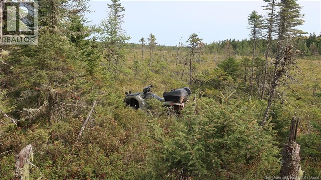 1371 Route 16 Route, Jolicure, New Brunswick E4L 2P9 - Photo 6 - NB127524