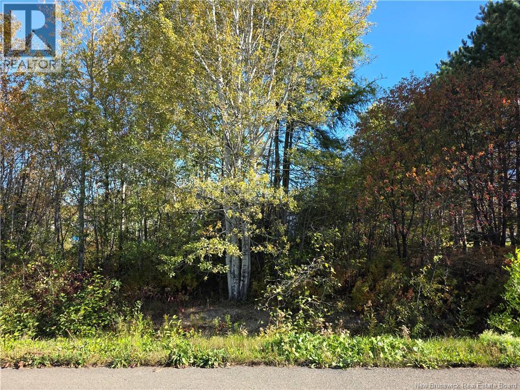 Lot Mazerolle Street, Sainte-Anne-De-Madawaska, New Brunswick E7E 1L6 - Photo 2 - NB127645