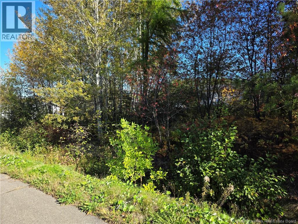 Lot Mazerolle Street, Sainte-Anne-De-Madawaska, New Brunswick E7E 1L6 - Photo 3 - NB127645