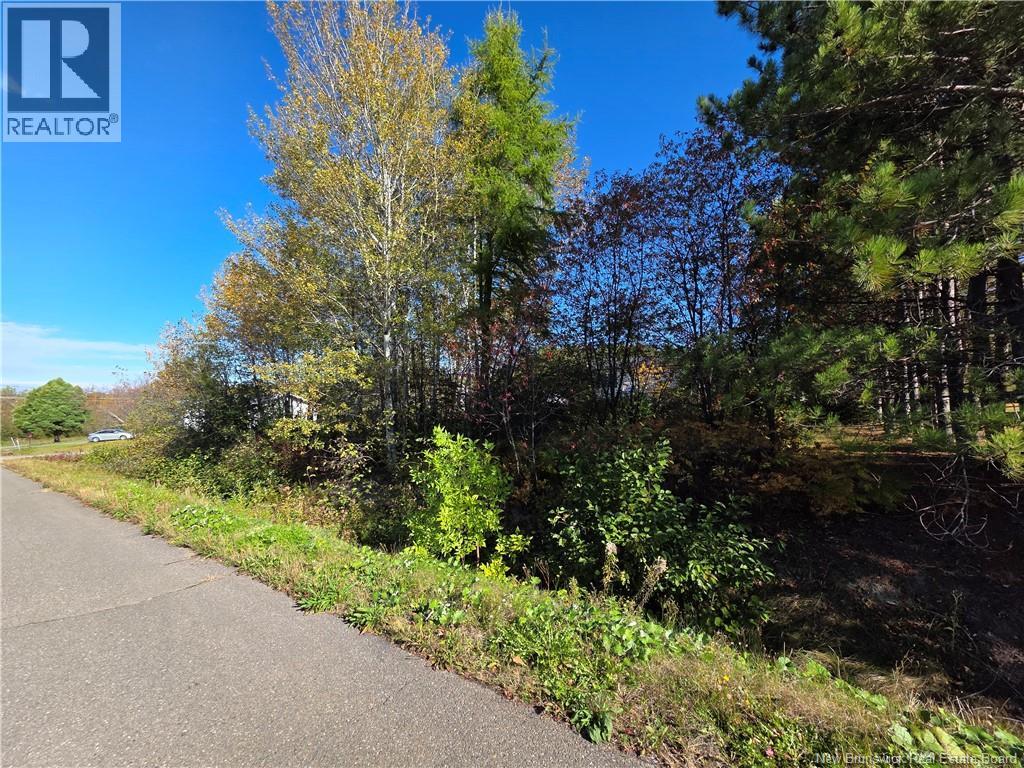 Lot Mazerolle Street, Sainte-Anne-De-Madawaska, New Brunswick E7E 1L6 - Photo 4 - NB127645