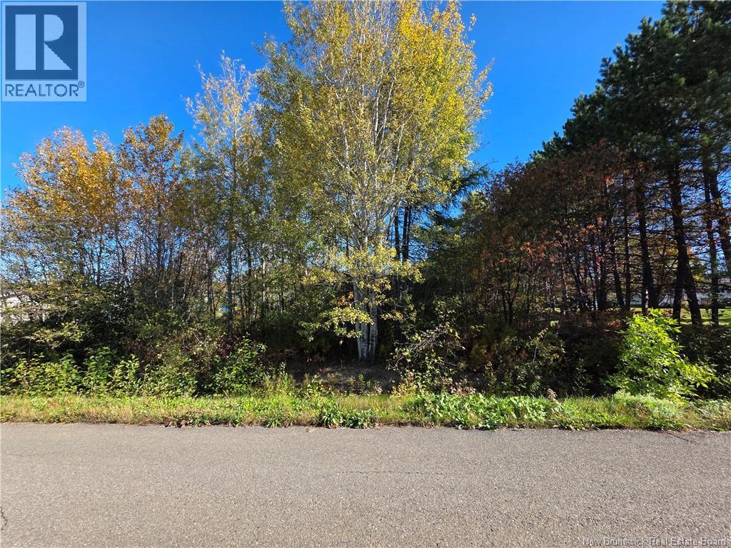 Lot Mazerolle Street, Sainte-Anne-De-Madawaska, New Brunswick E7E 1L6 - Photo 5 - NB127645
