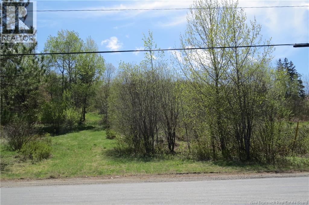 29 2nd Avenue, Napadogan, New Brunswick  E6B 1Y5 - Photo 3 - NB127679