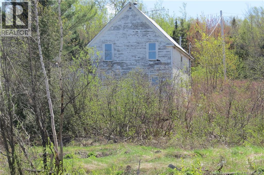 29 2nd Avenue, Napadogan, New Brunswick  E6B 1Y5 - Photo 4 - NB127679
