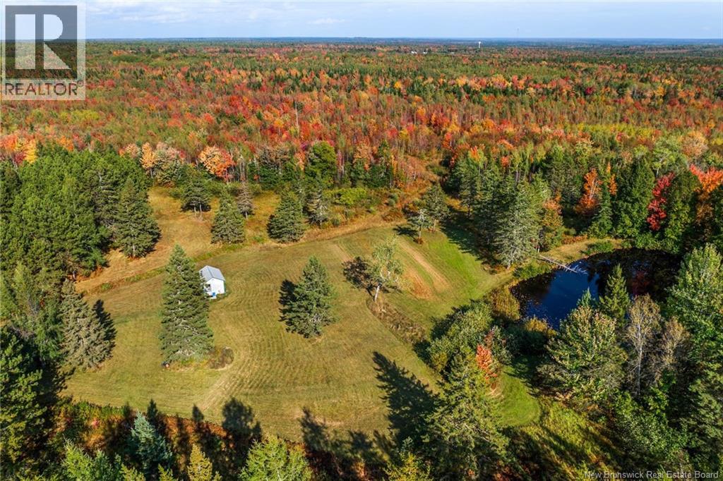 Lot Route 10, Youngs Cove, New Brunswick  O0O 0O0 - Photo 10 - NB127283