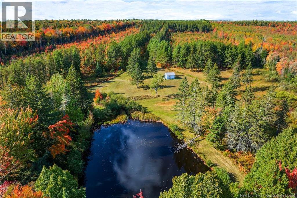 Lot Route 10, Youngs Cove, New Brunswick  O0O 0O0 - Photo 11 - NB127283