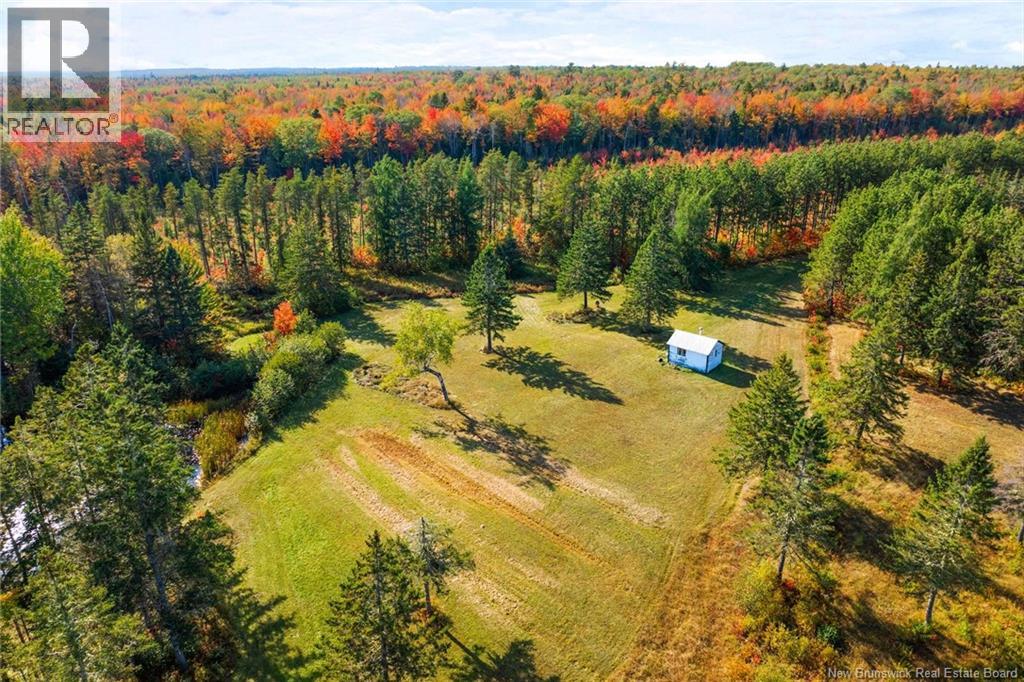 Lot Route 10, Youngs Cove, New Brunswick  O0O 0O0 - Photo 12 - NB127283