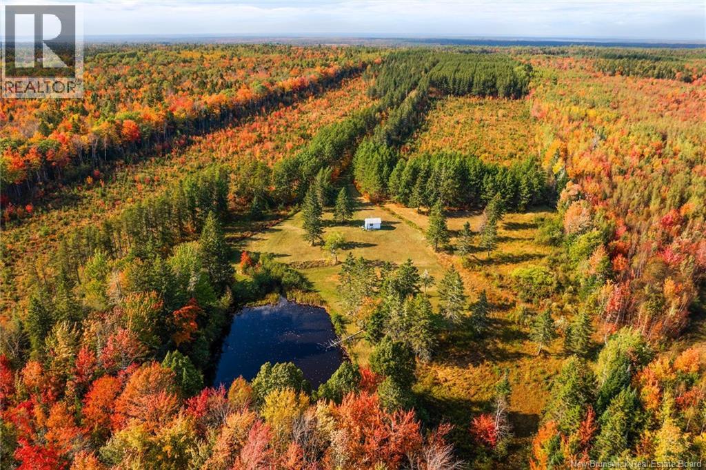 Lot Route 10, Youngs Cove, New Brunswick  O0O 0O0 - Photo 2 - NB127283
