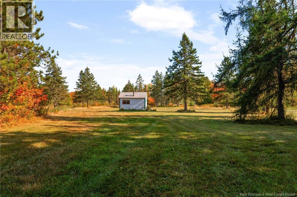 Lot Route 10, Youngs Cove, New Brunswick  O0O 0O0 - Photo 20 - NB127283