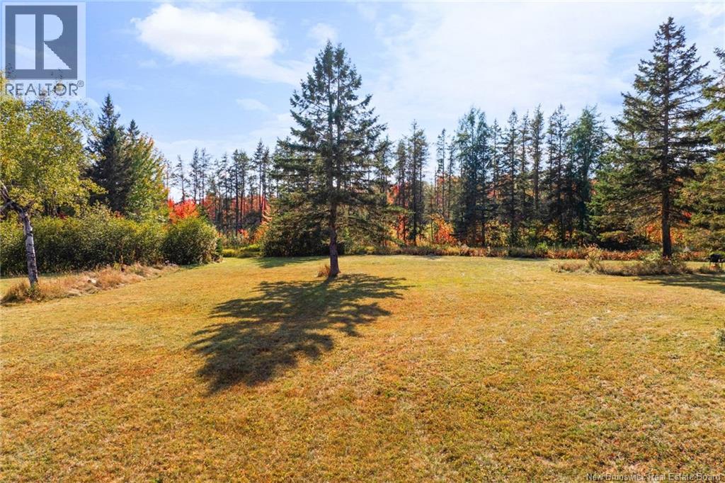 Lot Route 10, Youngs Cove, New Brunswick  O0O 0O0 - Photo 21 - NB127283