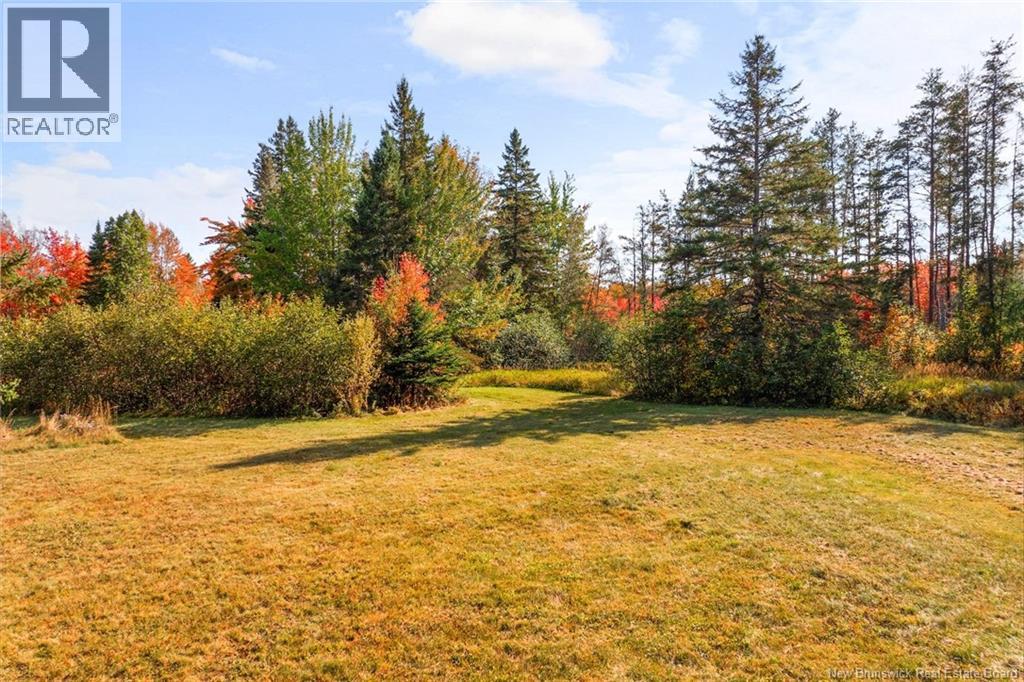 Lot Route 10, Youngs Cove, New Brunswick  O0O 0O0 - Photo 22 - NB127283
