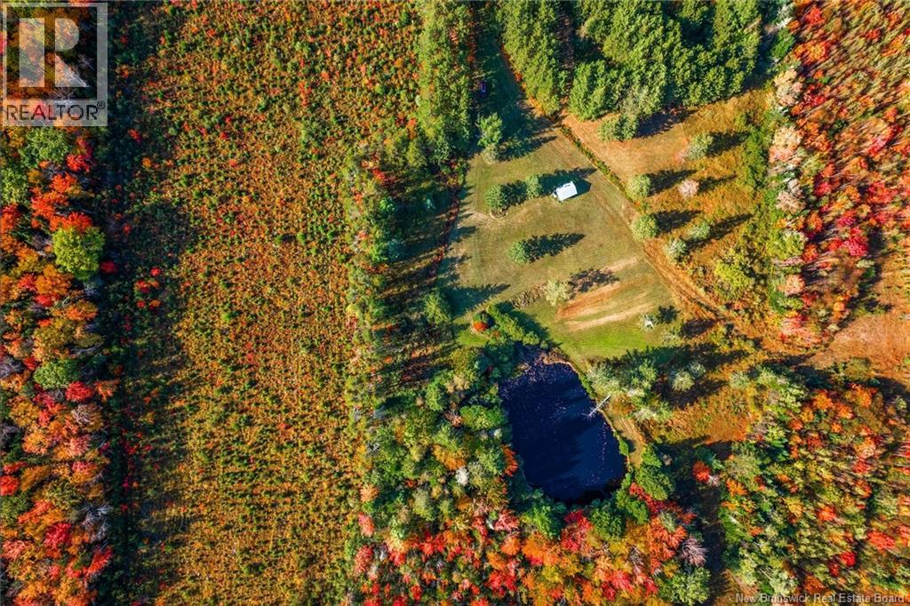 Lot Route 10, Youngs Cove, New Brunswick  O0O 0O0 - Photo 33 - NB127283