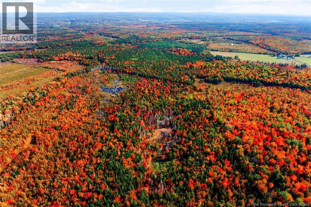 Lot Route 10, Youngs Cove, New Brunswick  O0O 0O0 - Photo 34 - NB127283