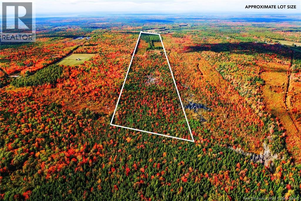 Lot Route 10, Youngs Cove, New Brunswick  O0O 0O0 - Photo 35 - NB127283