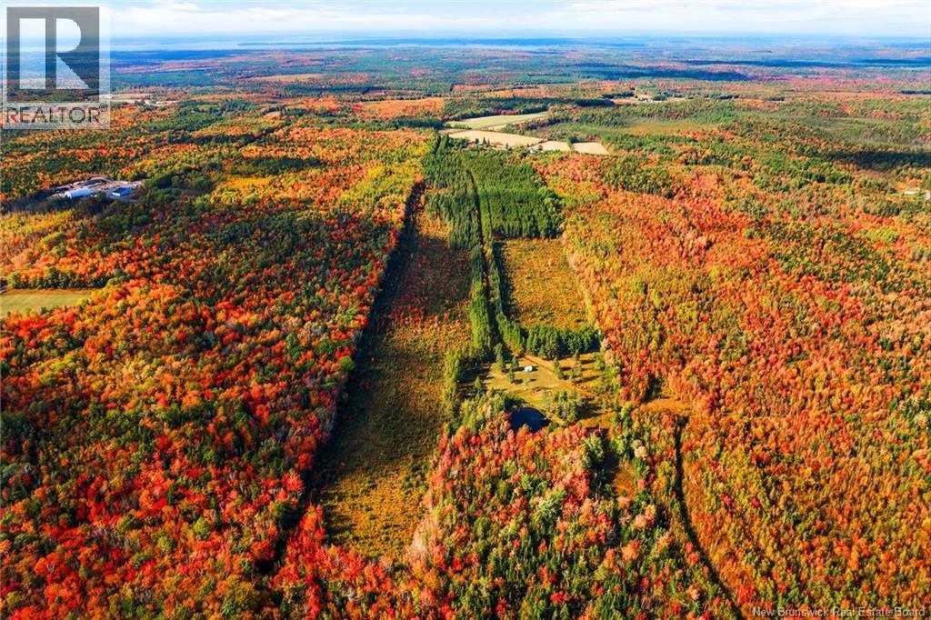 Lot Route 10, Youngs Cove, New Brunswick  O0O 0O0 - Photo 36 - NB127283