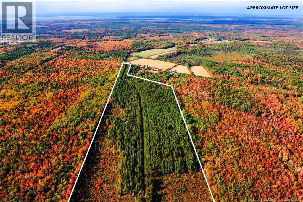 Lot Route 10, Youngs Cove, New Brunswick  O0O 0O0 - Photo 38 - NB127283