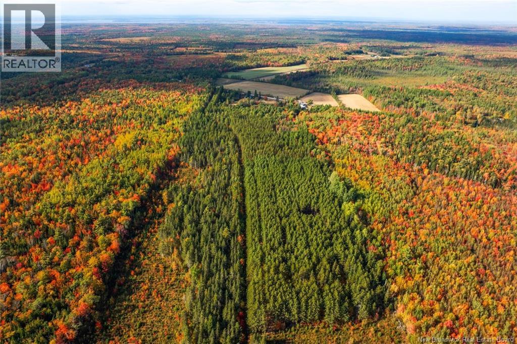 Lot Route 10, Youngs Cove, New Brunswick  O0O 0O0 - Photo 39 - NB127283