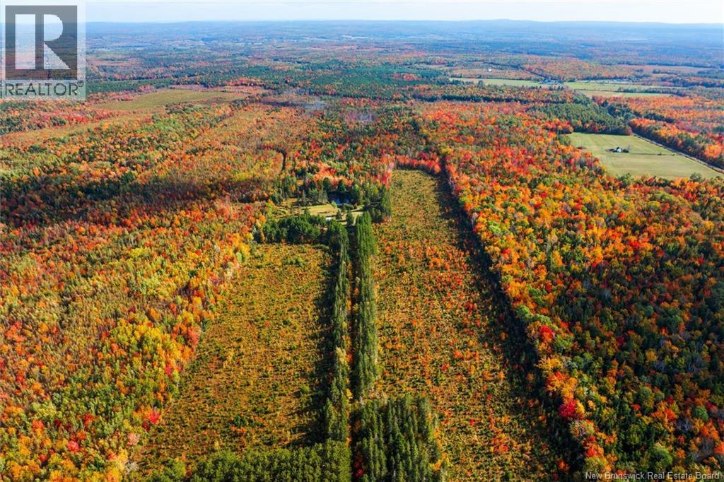 Lot Route 10, Youngs Cove, New Brunswick  O0O 0O0 - Photo 4 - NB127283