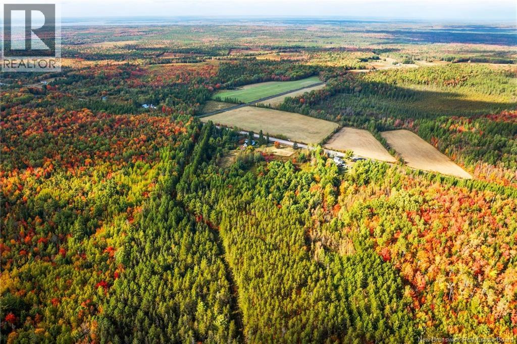 Lot Route 10, Youngs Cove, New Brunswick  O0O 0O0 - Photo 40 - NB127283