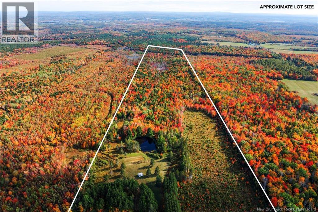 Lot Route 10, Youngs Cove, New Brunswick  O0O 0O0 - Photo 5 - NB127283