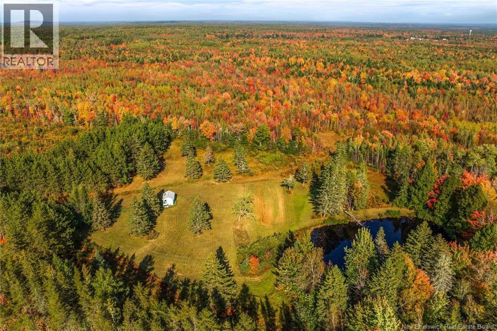 Lot Route 10, Youngs Cove, New Brunswick  O0O 0O0 - Photo 7 - NB127283
