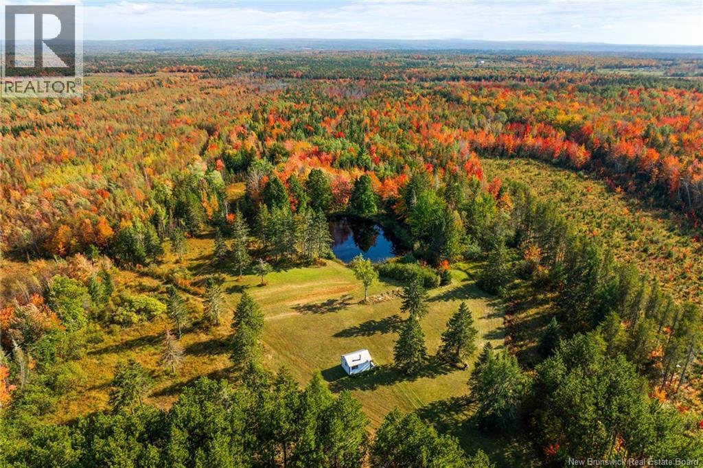 Lot Route 10, Youngs Cove, New Brunswick  O0O 0O0 - Photo 9 - NB127283
