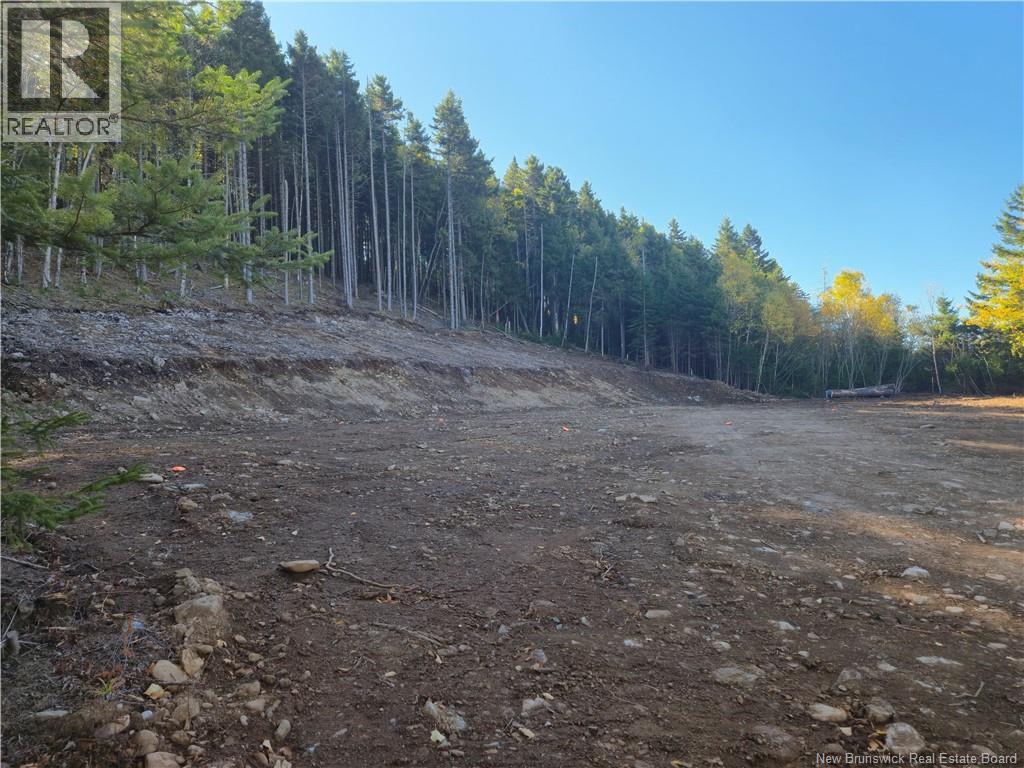 37 Forest Drive, Alma, New Brunswick  E4H 1G4 - Photo 14 - NB127297