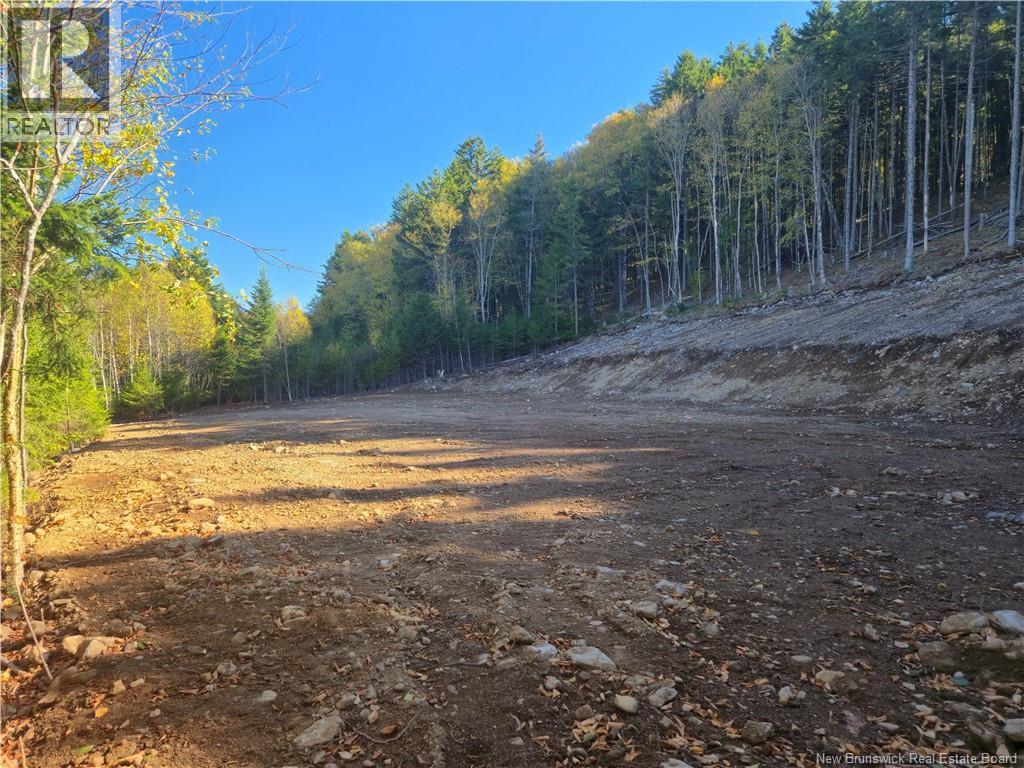 37 Forest Drive, Alma, New Brunswick  E4H 1G4 - Photo 15 - NB127297
