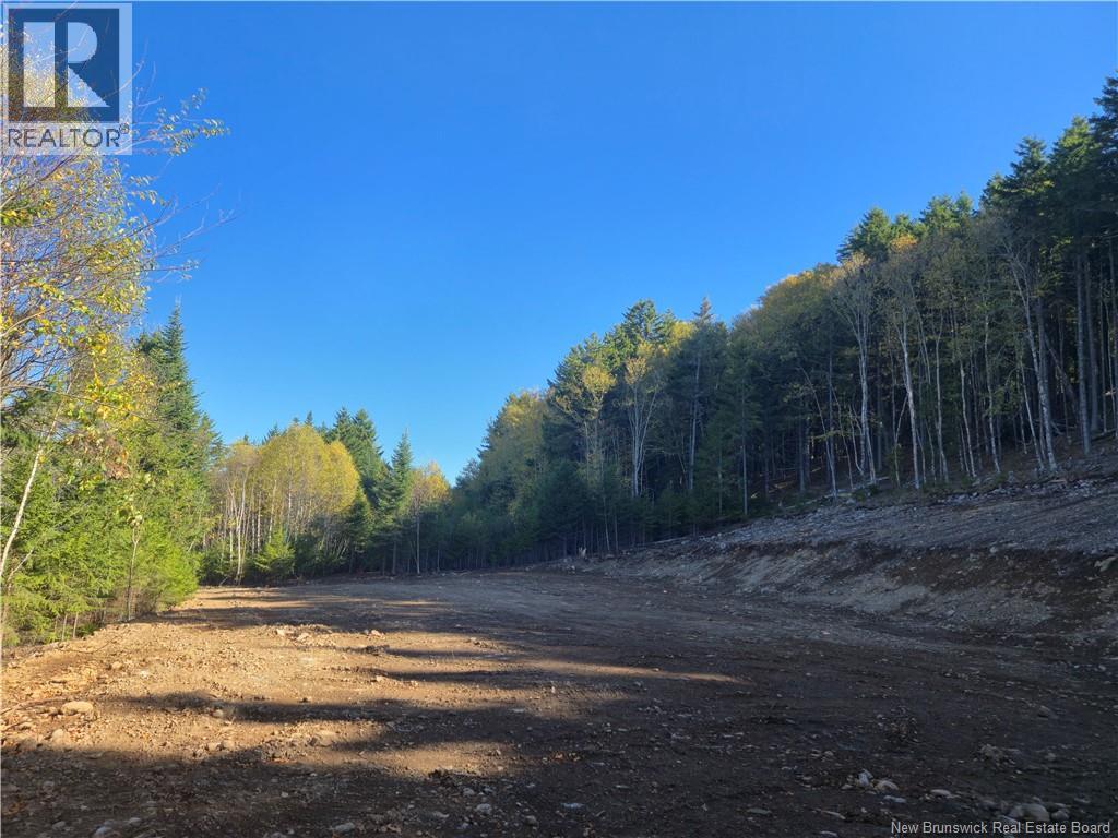 37 Forest Drive, Alma, New Brunswick  E4H 1G4 - Photo 17 - NB127297
