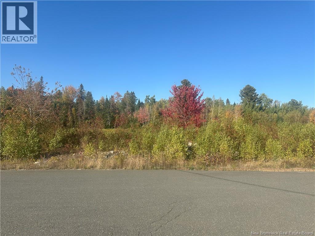 Lot 10-04 Crain Court, Bulls Creek, New Brunswick  E7N 0B1 - Photo 2 - NB127594