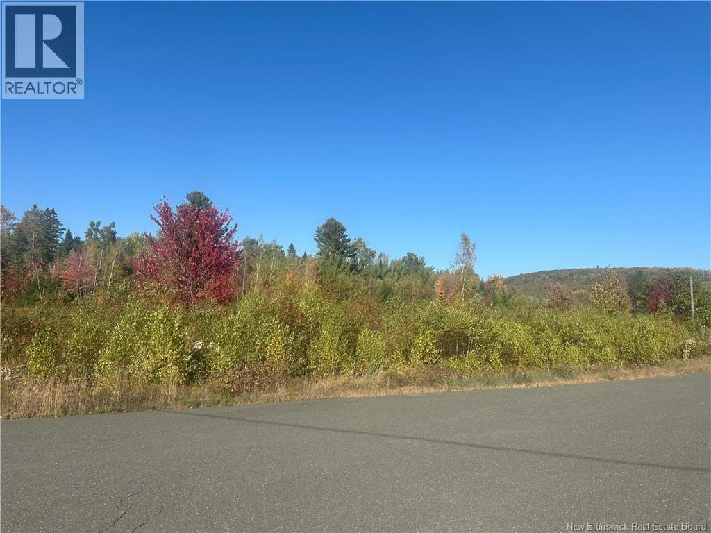 Lot 10-04 Crain Court, Bulls Creek, New Brunswick  E7N 0B1 - Photo 3 - NB127594