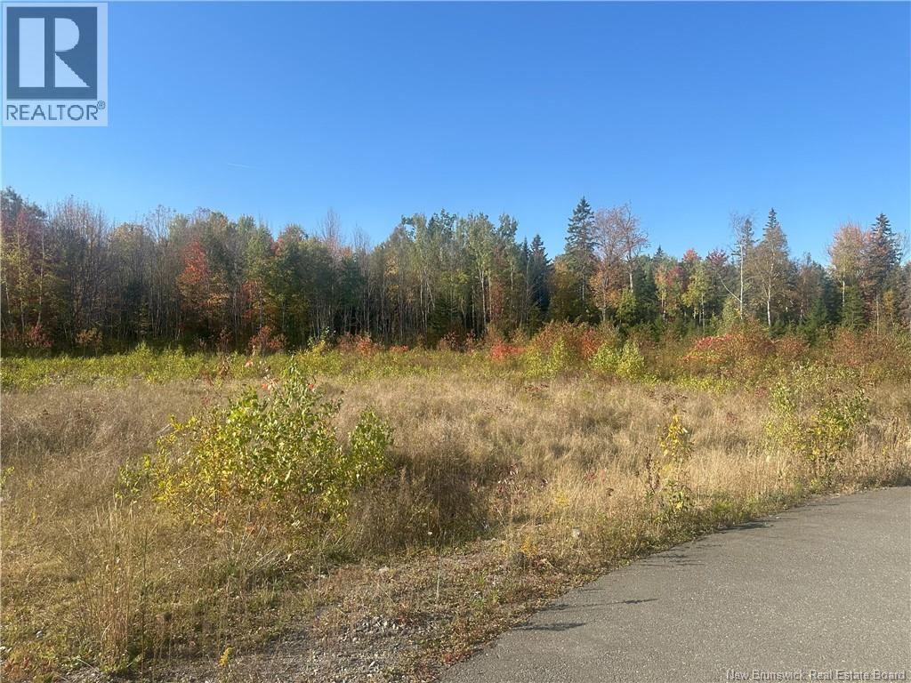 Lot 14-01 Crain Court, Bulls Creek, New Brunswick  E7N 0B1 - Photo 2 - NB127593