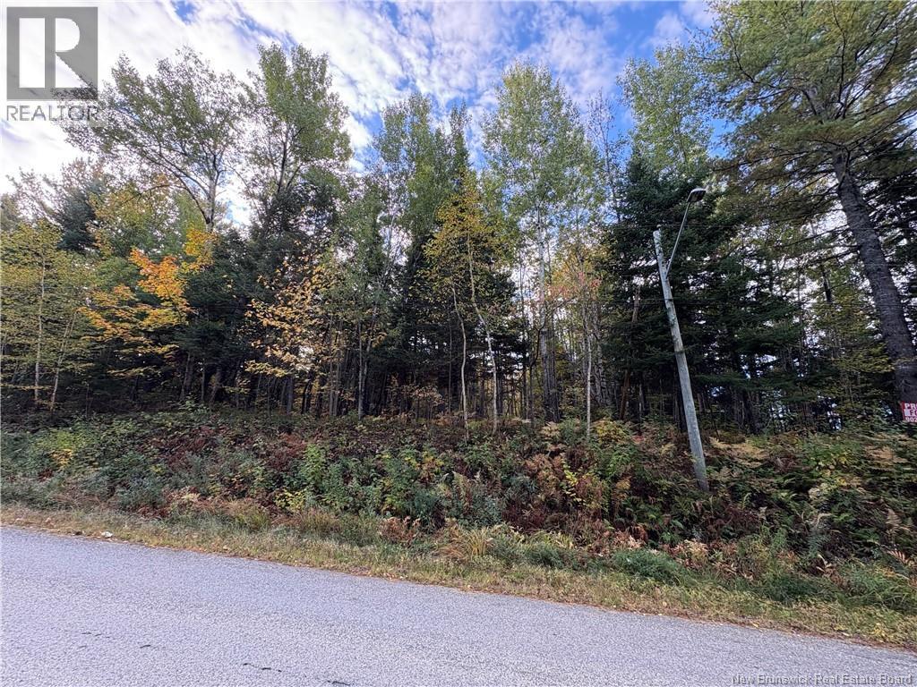 1.5 Acres Boom Road, Boom Road, New Brunswick  E9E 1E5 - Photo 2 - NB127798
