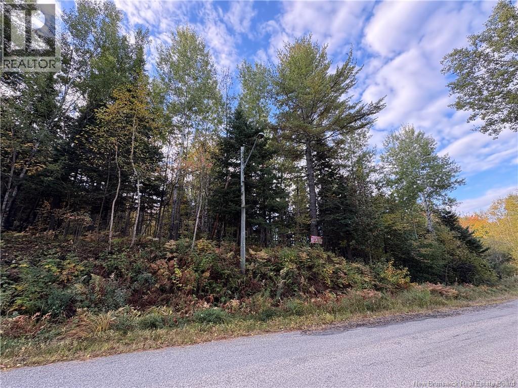 1.5 Acres Boom Road, Boom Road, New Brunswick  E9E 1E5 - Photo 3 - NB127798