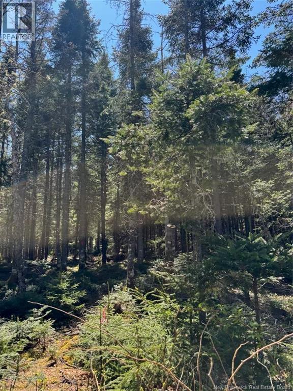 Lot 25-4 Peaceful Mountain Lane, Clifton Royal, New Brunswick  E5S 2N4 - Photo 6 - NB127731