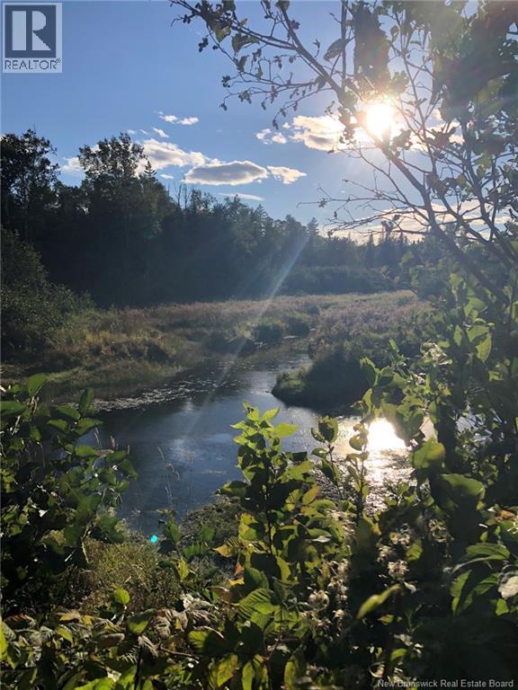 3337 Route 180, South Tetagouche, New Brunswick  E2A 7C3 - Photo 46 - NB127802