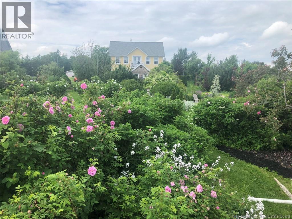 3337 Route 180, South Tetagouche, New Brunswick  E2A 7C3 - Photo 48 - NB127802