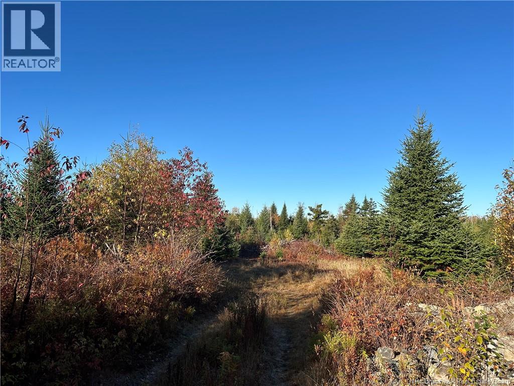 91 Midland Road, Mechanic Settlement, New Brunswick