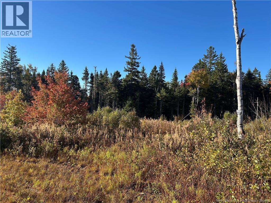 91 Midland Road, Mechanic Settlement, New Brunswick E4E 4K4 - Photo 2 - NB127828