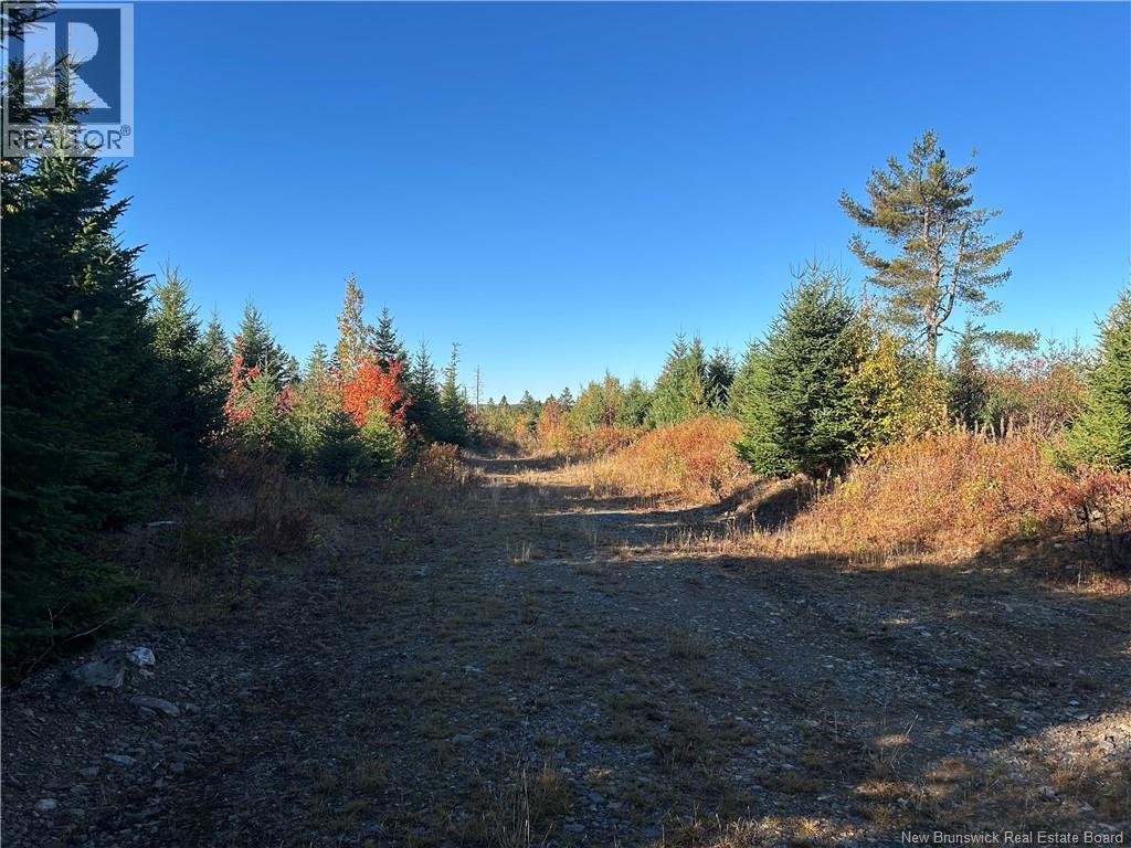 91 Midland Road, Mechanic Settlement, New Brunswick E4E 4K4 - Photo 7 - NB127828