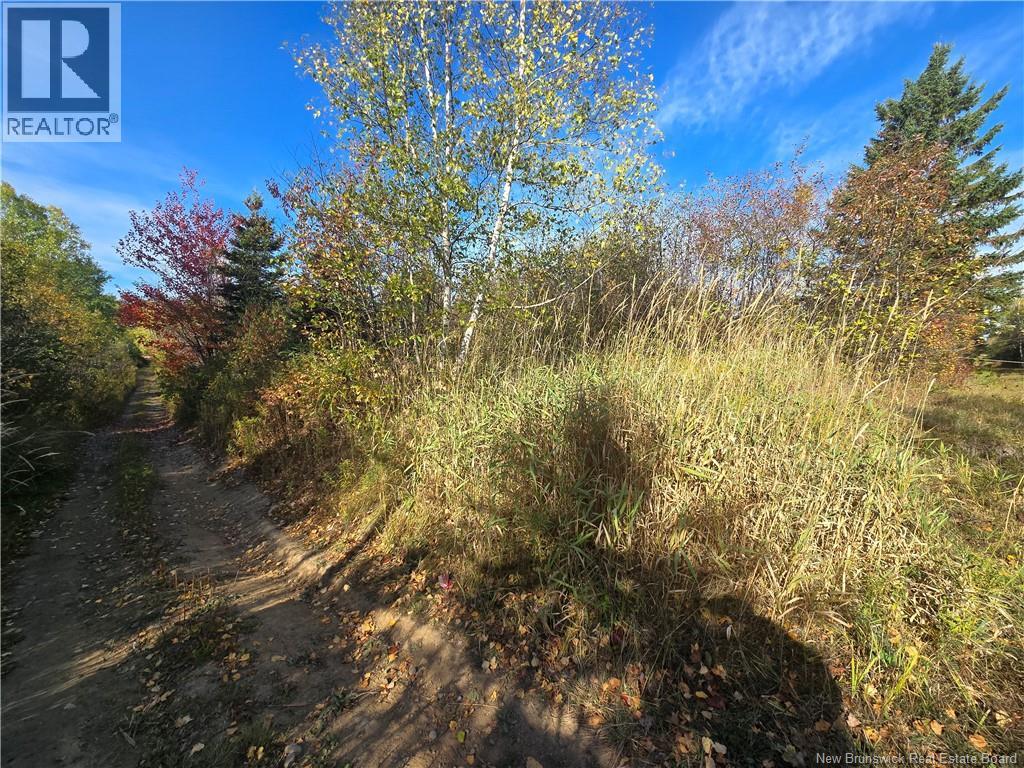 14.97 Acres Chemin Saulnier Ouest, Canton Des Basques, New Brunswick  E1X 2G6 - Photo 2 - NB127603