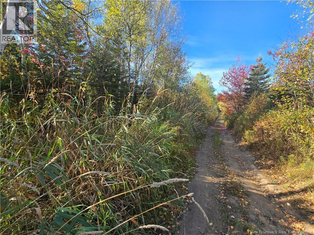 14.97 Acres Chemin Saulnier Ouest, Canton Des Basques, New Brunswick  E1X 2G6 - Photo 7 - NB127603