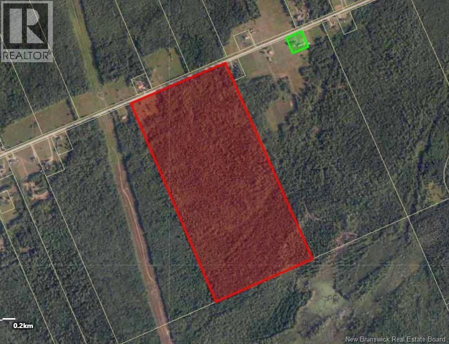 Lot West Collette, Collette, New Brunswick  E4Y 1K3 - Photo 6 - NB127651