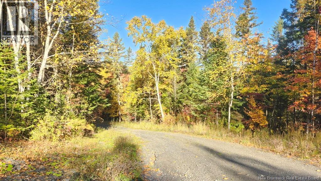 791 Baisley Road, Saint-Jacques, New Brunswick  E7B 2A1 - Photo 29 - NB127648